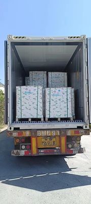 Carta di copia NCR di grado A Piccola immagine nera/azzurra 50/55/75GSM Carta senza carbonio