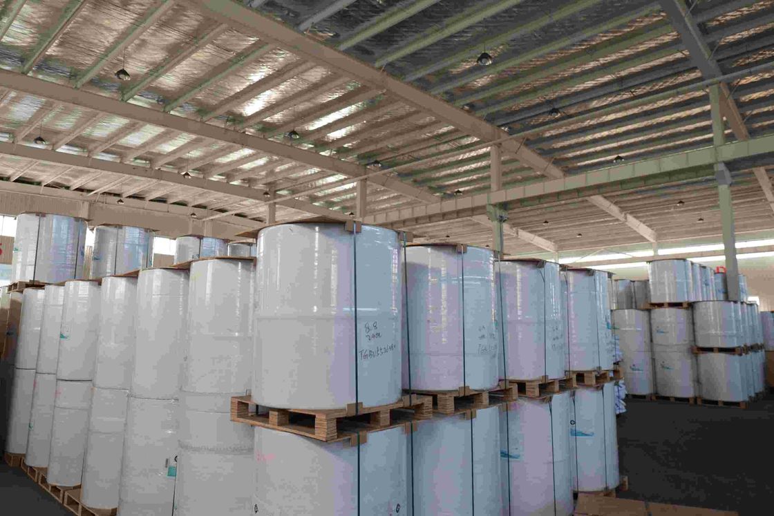 BPA Free Focus Brand Thermal Paper High Smoothness Suitable Optical Density 100% Imported Wood Pulp