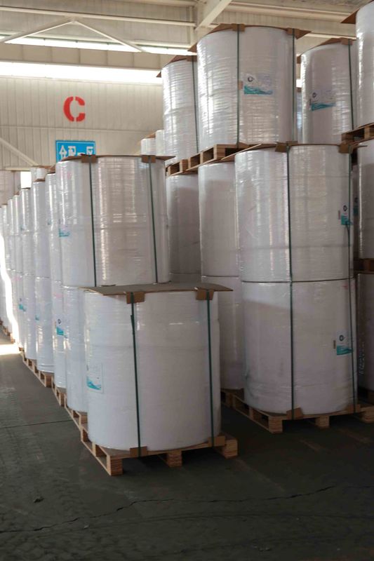 BPA-Free Thermal Paper Roll for POS Receipts, ATM printer paper, oil-resistant thermal roll – 5+ Year Image Life