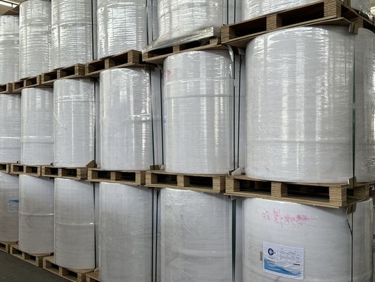 Grandi prestazioni di stampa senza BPA Jumbo Thermal Paper Roll/ Thermo Paper per POS