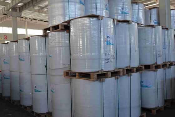 100% di polpa di legno vergine importata carta termica libera da BPA alta morbidezza forte tensione lunga durata di immagini